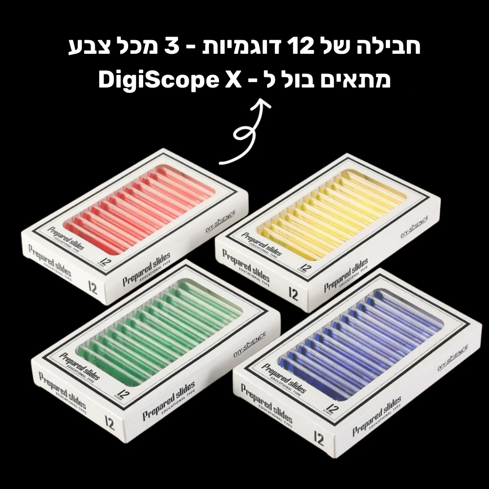 12 דוגמיות זכוכית מוכנות
